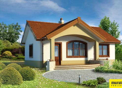 № 1383 Купить Проект дома Даинти. Закажите готовый проект № 1383 в Рязани, цена 22835 руб.